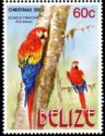 Pair of Scarlet Macaws (Ara macao) on Tree